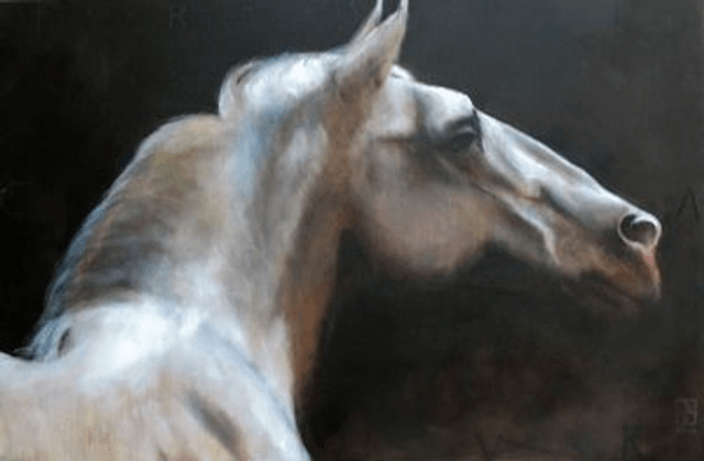 Lipizzaner