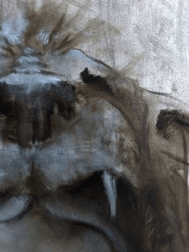 Mysterieus