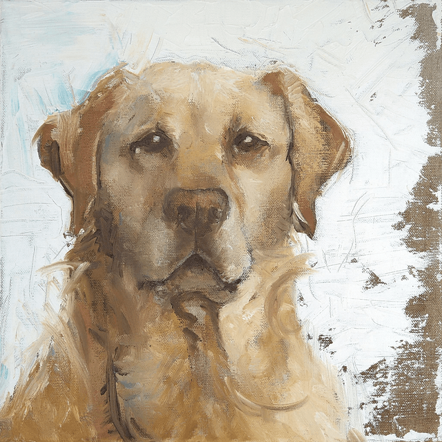 Kaart Labrador