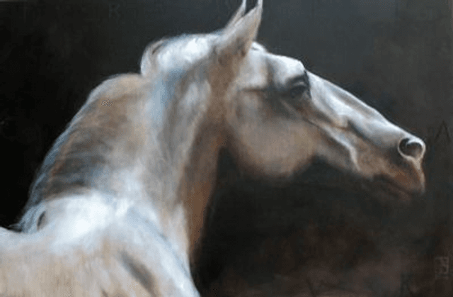 Lipizzaner