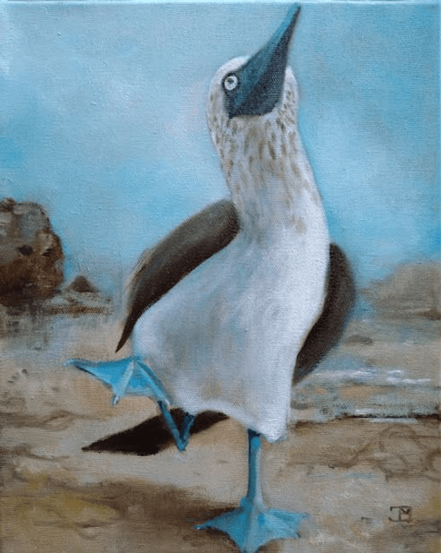 Blauwvoetgent I