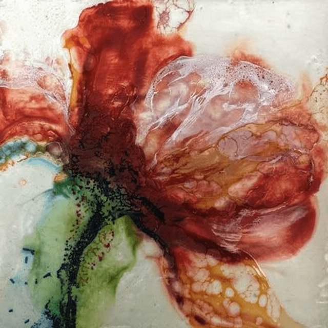 Encaustic bloem