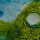 Waterlelie encaustic