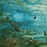 Waterlelie encaustic